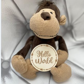 Beautifully engraved Baby Milestone Wooden Disc Set. The perfect gift for new parents to celebrate each milestone with their newborn.