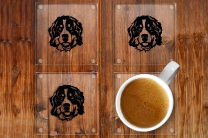 Bernese Mountain Dog Glass Drinks Coasters