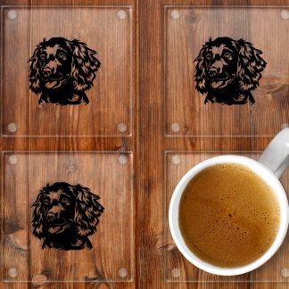 Boykin Spaniel glass coasters