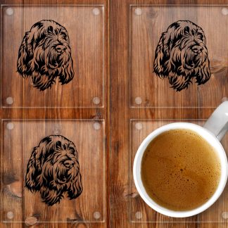 Italian Spinone Glass coasters