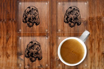 Italian Spinone Glass coasters