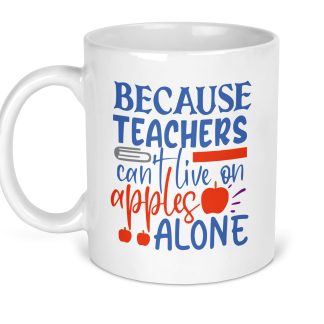 Teacher Gift Novelty Mug